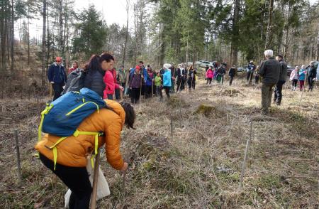 POGOZDOVANJE V RAKOVEM ŠKOCJANU 07 FOTO LJUBO VUKELIČ